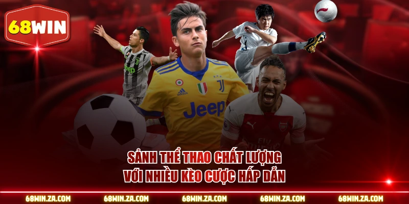 Sảnh thể thao chất lượng với nhiều kèo cược hấp dẫn